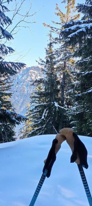 Bel Appart Pour 4/6 Pers Plein Sud Sans Vis A Vis Chamrousse Buitenkant foto