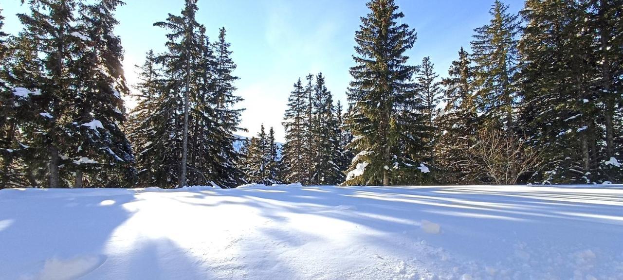 Bel Appart Pour 4/6 Pers Plein Sud Sans Vis A Vis Chamrousse Buitenkant foto